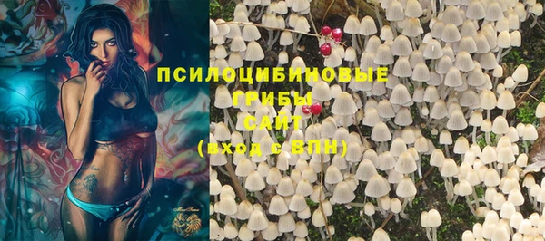 MDMA Лагань